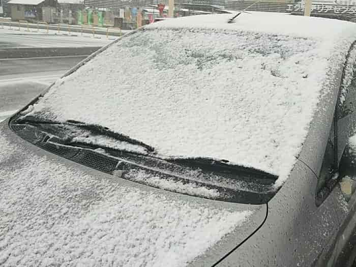 雪まみれの車